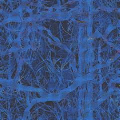 s c o t c h  b l u e  o r i g i n a l