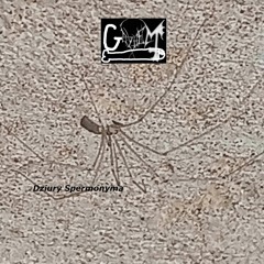 GAYHEM - Dziury Spermonyma