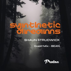 Synthetic Dreams 019 // Shaun Strudwick