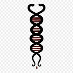 Winged Cubensis Vibration 6-24-20