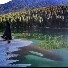 just under that mountain...