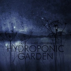 Carbon Based Lifeforms - Central Plains
