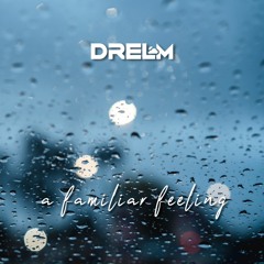 DRELM - A Familiar Feeling