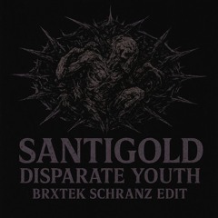Santigold – Disparate Youth (BRXTEK Schranz Edit) [FREE DL]