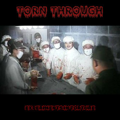 EXPERIMENTS IN TORTURE