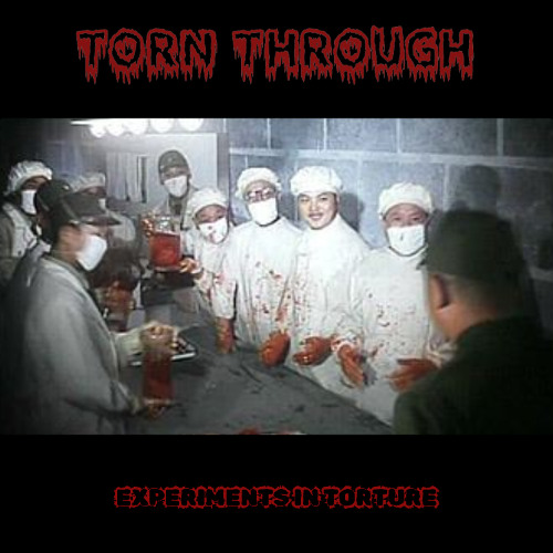 EXPERIMENTS IN TORTURE
