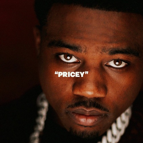 Pricey (Roddy Ricch x Lil Baby Type Beat)