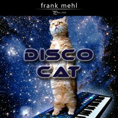 DISCO CAT