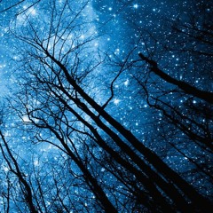 Endless Dream // Long live Night