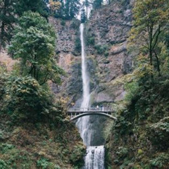 Review Special Price Afternoon Half-Day Multnomah Falls And Columbia River Gorge Waterfalls Tour From Portland