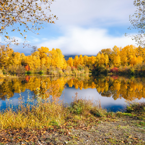 October Magic Session