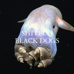 Black Dogs