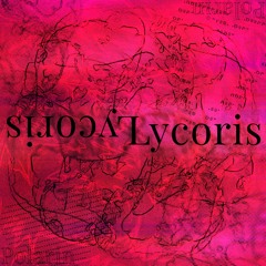 Lycoris. [QOT2024]
