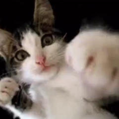 ion care if u don like me @kubelis