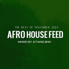 Afro House Best of November 2024 - Mixed by ATANG (BW)