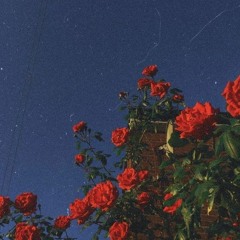 Anton Kubikov — Whales Song .mp3