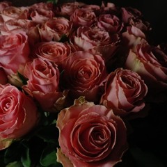 Expérimentation n.2