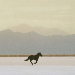 Lone Dancer