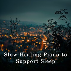 Calm Serenade Moments