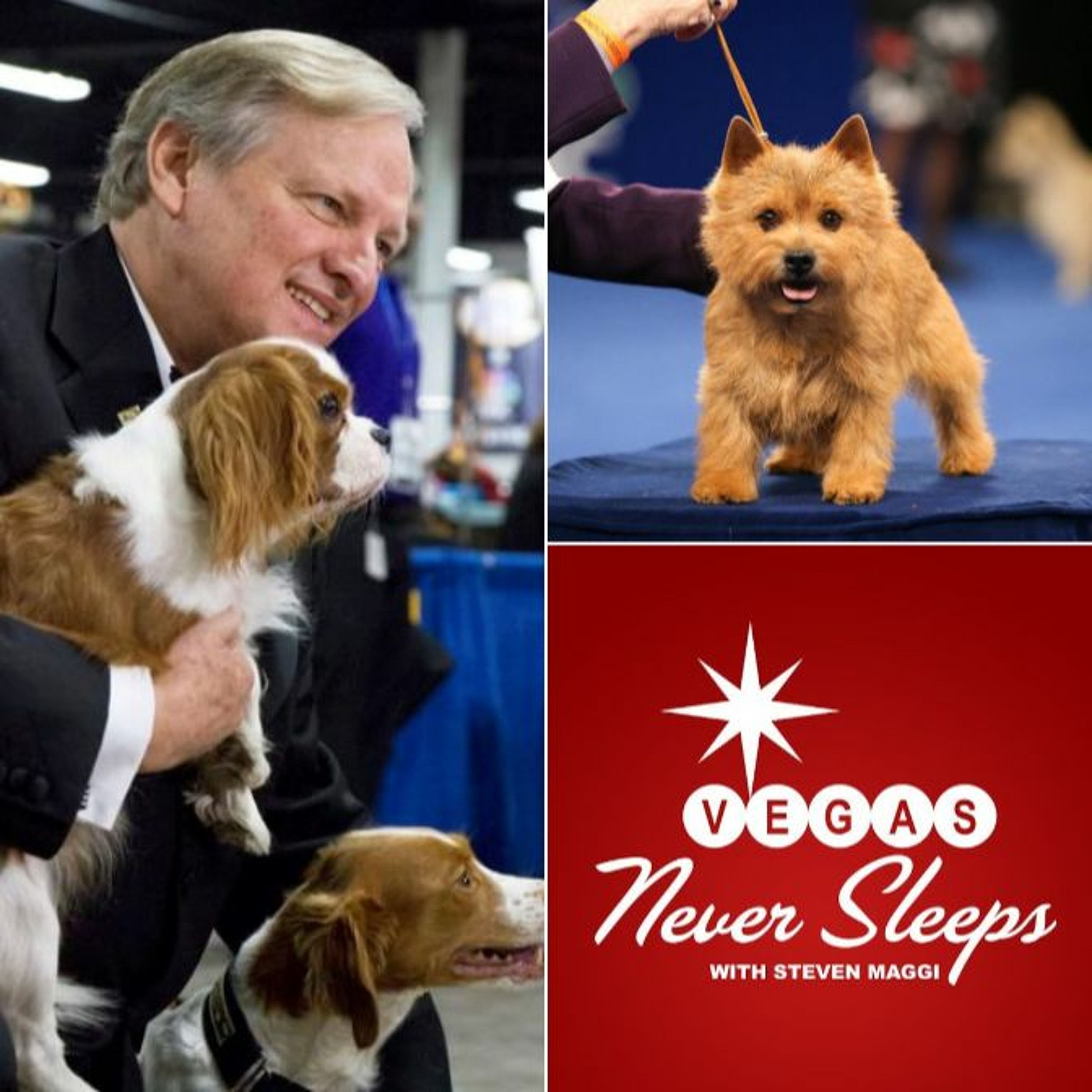 ”The National Dog Show” - The Complete David Frei Interview