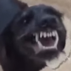 THROW IT DOWN (oPraia FLIP)