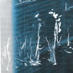 PREMIERE: Nightdrive - Firework [RAW RUSSIAN]