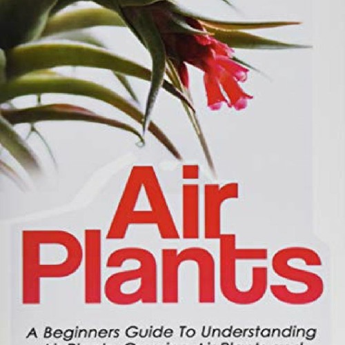 ✔DOWNLOAD PDF Air Plants: A Beginners Guide To Understanding Air Plants, Growing