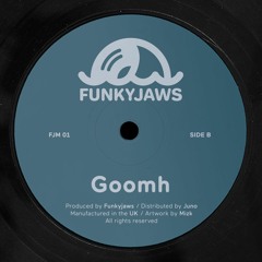 PREMIERE: Funkyjaws - Goomh