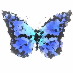 butterfly w/ sanverde