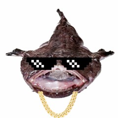 oyster toadfish