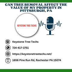 can-tree-removal-affect-property-value-in-pa