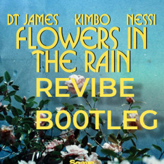 DT James & Kimbo - Flowers In The Rain (feat. Nessi) - Revibe Edit
