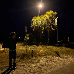 hollywood problems {p. cool cat}