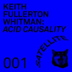 KEITH FULLERTON WHITMAN, ACID CAUSALITY / SATELLITE MIX 001