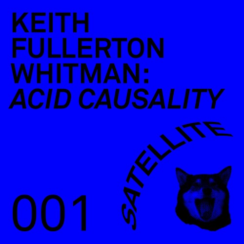 KEITH FULLERTON WHITMAN, ACID CAUSALITY / SATELLITE MIX 001