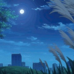 I Can’t Sleep At Night Please Give Me Melatonin/ Prod. LethalNeedle