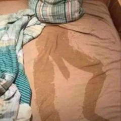 van gough’s van goes