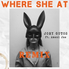 Where She At (Remix) feat. Amani Jae