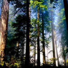 "Spree" Futuristic Rap Beat [Free Download]