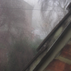 looking at someone, looking at me