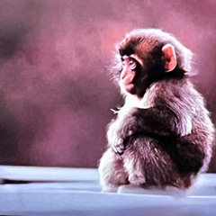 i don’t wanna go to school