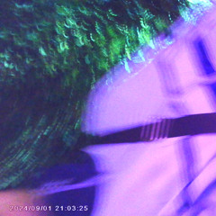 ™TranceMix™(^VieleVocals^)