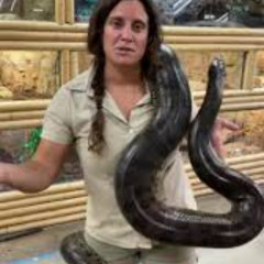 Musik Tracks: one girl fifty snake viral video one girl fifty snakes