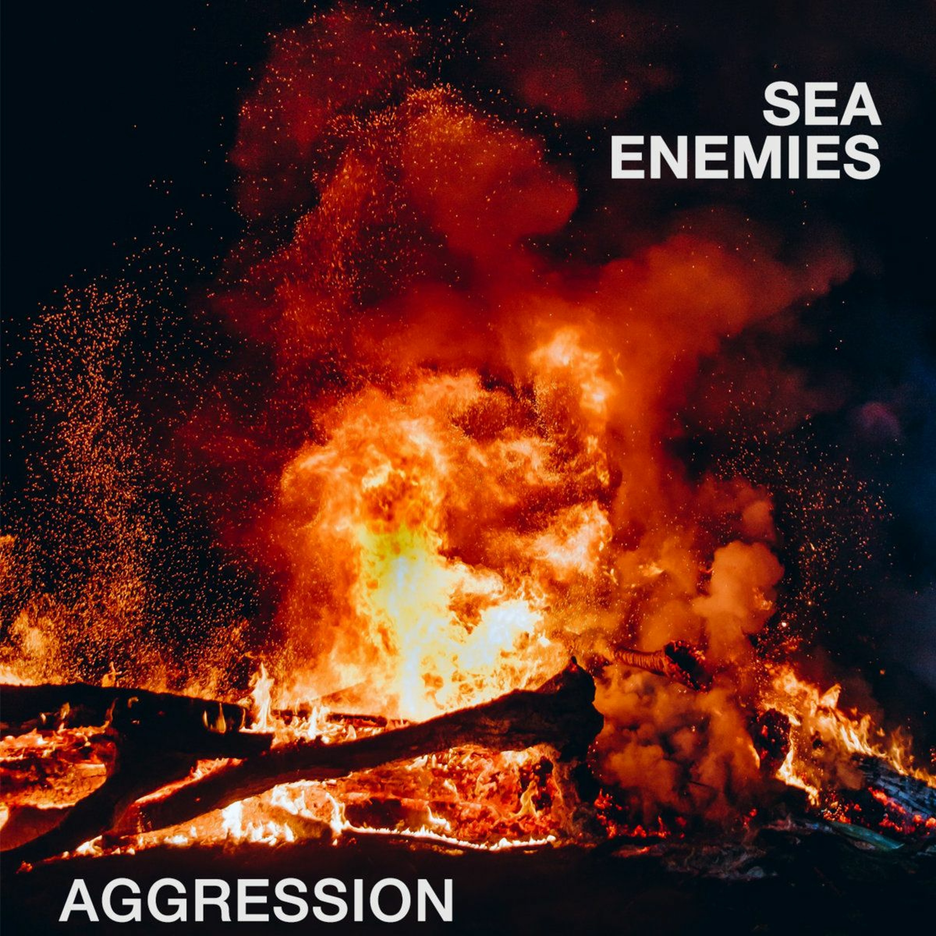 Aggression (2022 Remaster) episode artwork