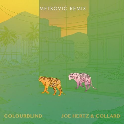 Joe Hertz & Collard - Colourblind (Metković Remix)