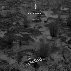 SEP 008 : PØLYGØNAL