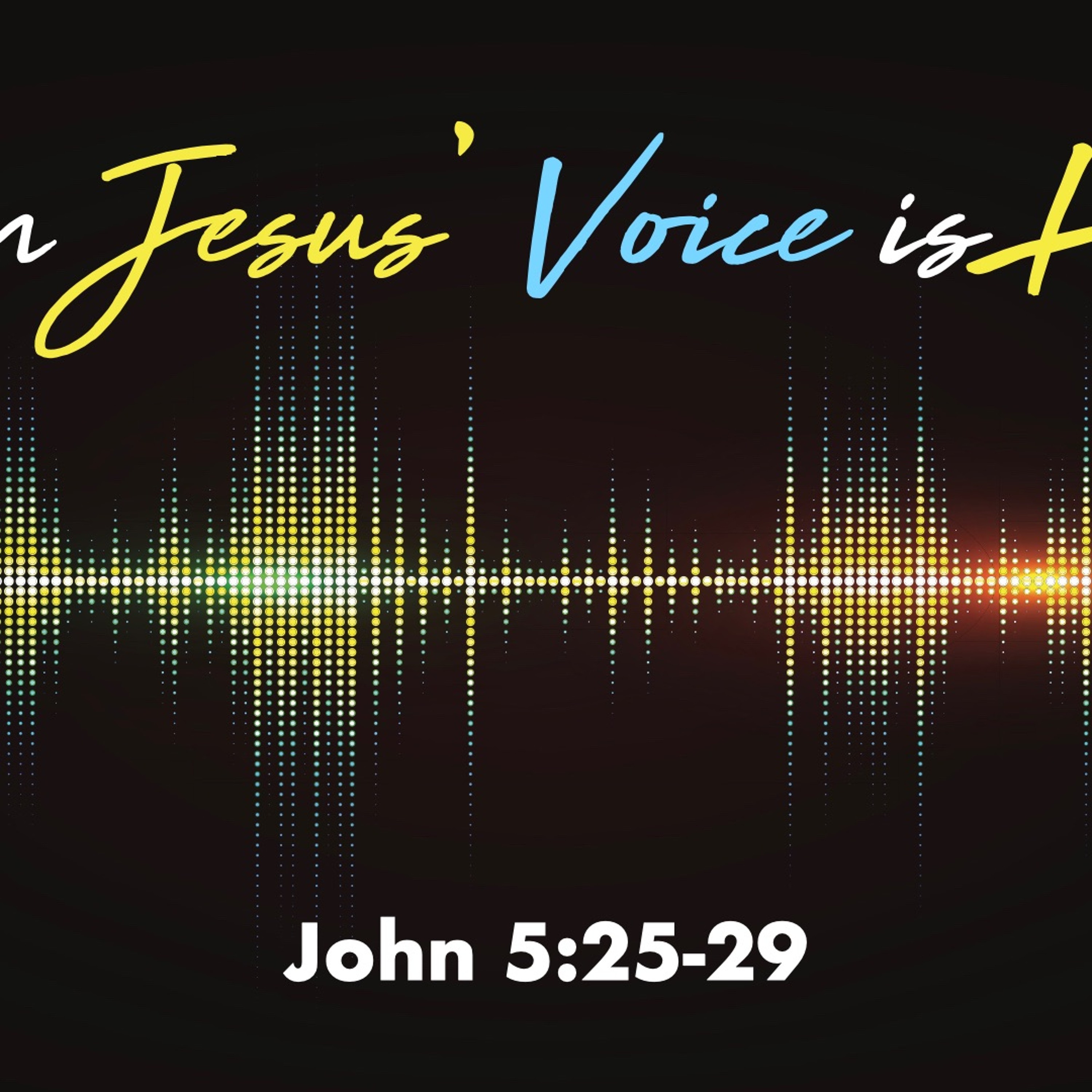 When Jesus' Voice Is Heard - John 5:25-29 - Matthew Niemier episode artwork