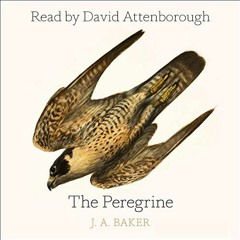 GET EBOOK 📄 The Peregrine by  J. A. Baker,David Attenborough,Mark Cocker,Robert Macf