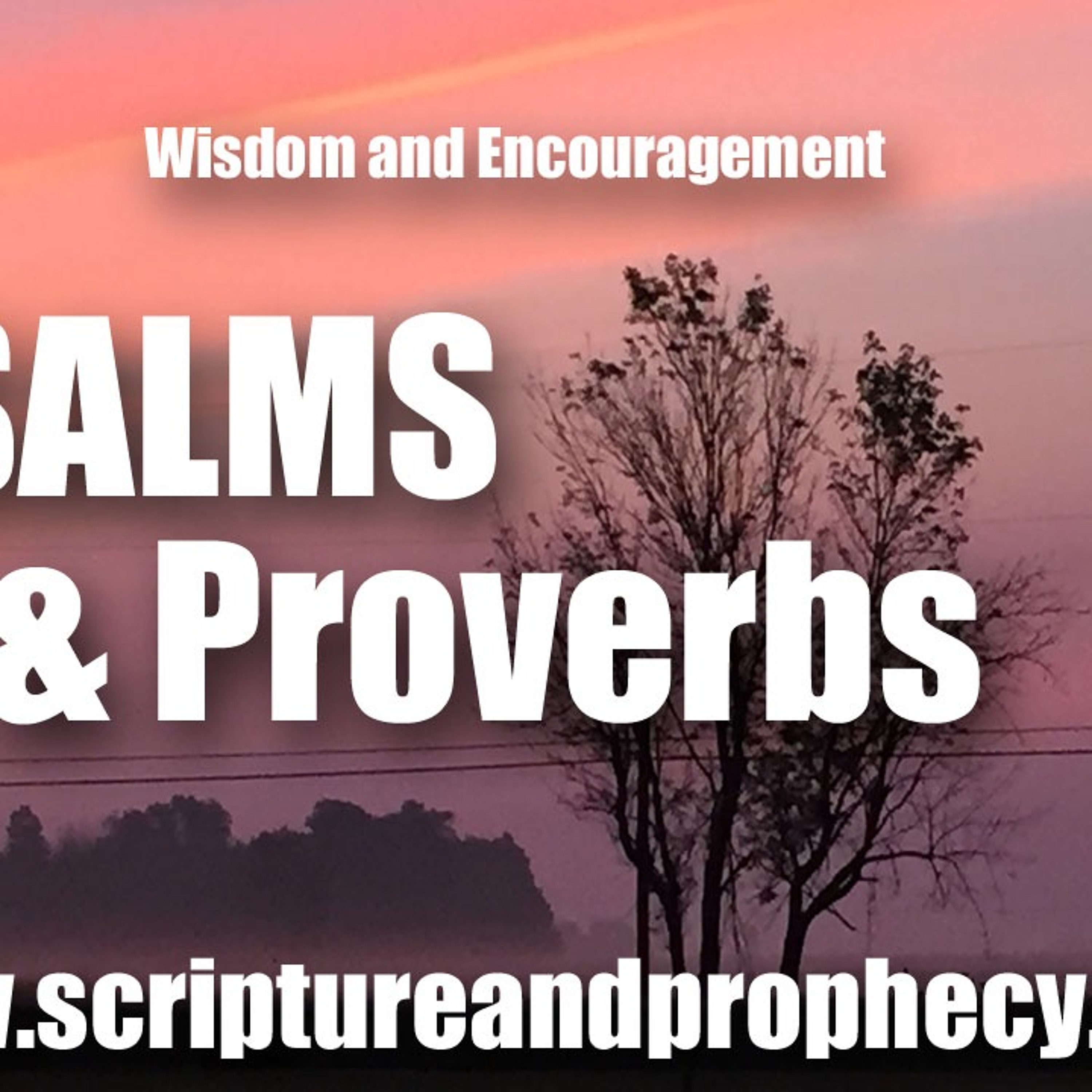 Wisdom From Psalm 110 & Proverbs 27: Messiah, The Right Hand of God, & His Coming Wrath