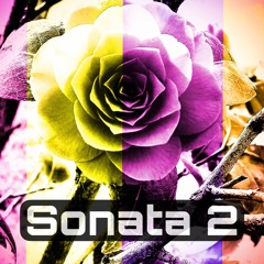 Sonata 2 (calm electronic meets classical music)